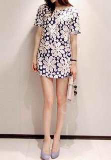 Short Sleeve Crewneck Floral Mesh Mini Shift Dress