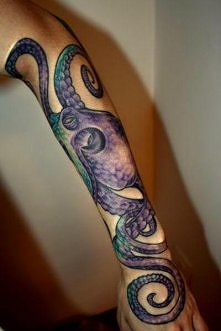 octopus