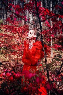 Guinevere van Seenus