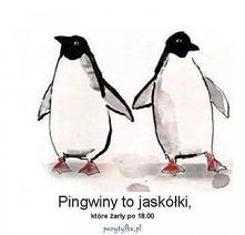 Właśnie tak laski!