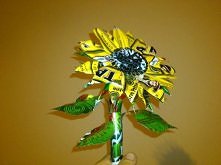 Puszkowy słonecznik :)