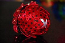 Biedroneczki są w kropeczki...