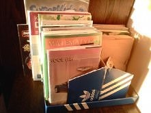organizer