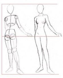 Sylwetka kobiety z przodu