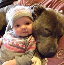 najkochansze psiaki na swie...