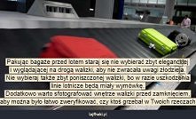 Jak uniknąć kradzieży bagażu?