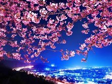 usiąść tam i patrzeć na to rozświetlone miasto... ach...