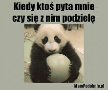 słodziak..