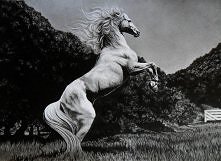 Duży format, ołówki + czarn...