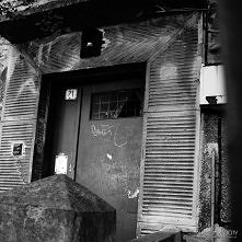 #Gdynia #DziałkiLeśne ul. Z...