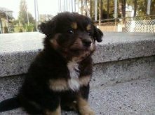 Moje maleństwo. Mój mężczyzna.