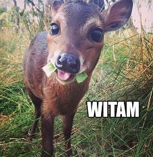 *** oj oj jak słodko! ***