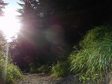 Nawet gdy Ty widzisz niewyr...