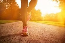 „Ptak lata, ryba pływa, czł...