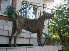 ja tu pilnuję... ;-)