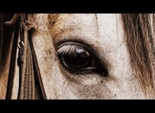 piękna fotografia :)