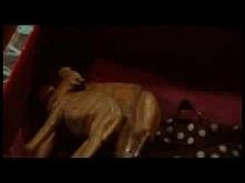 Magda M. Najpiękniejszy serial :)