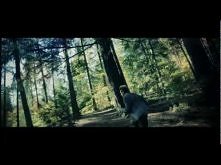 Papa Roach 
moje kooochane Karaluchy <3