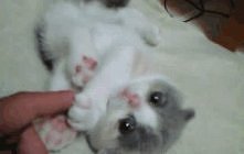 Awwww