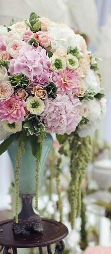 Róże, dalie, amarantusy.