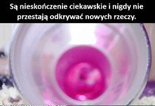 #5 powód dla którego chomiki powinny być twoimi autorytetami :D