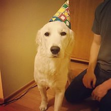 Moja kochana psinka :) tak ...