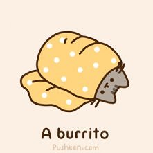 burrito