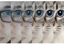 polecam apkę InstaFace, któ...