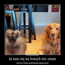 też mi sie tak wydaje XD