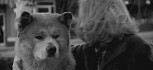 Hachiko <3