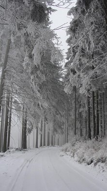 piękne są nasze górskie szlaki