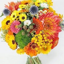 Jesienna paleta barw - Pora...