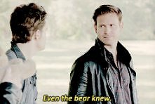 -See Stefan? Even the bear knew.