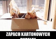 Zapachy, które każdy z nas uwielbia