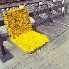 #flowers#yellow#chair#coll