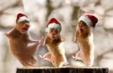 Jingle bells, jingle bells!