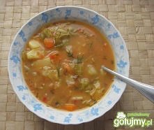 Zupa jarzynowa z młodą kapustą - SKŁADNIKI:

    młoda kapusta - ½ szt.
    młoda marchewka - 3 szt.
    pietruszka - ½ szt.
    mały seler - ¼ szt.
    por - ½ szt.
    młode z...