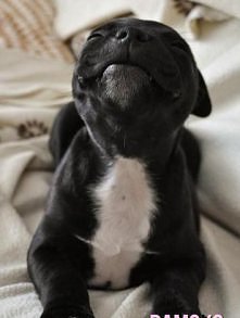 Słodziak <333 Dla wszyst...