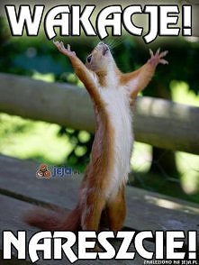 Kto z was tez nie może się doczekać wakacji?