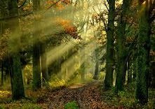 Kto z was lubi długie spacery po lasach,łąkach itp?