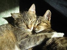 Tak się kochamy choć nie łą...