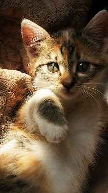 i ten błysk w oku...