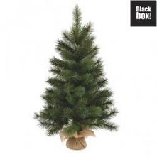 Przeceniliśmy kilka choinek w ofercie online. 

Jedną z nich jest sztuczna Jodła w Worku 90 cm, Szerokość: 48 cm, ilość gałązek: 102 sztuk, Bardzo wysokiej jakości.

Sprawdźcie ...