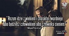 ,,,