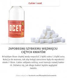 Jak zapobiec szybkiemu więd...