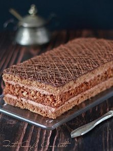 Biszkopt czekoladowy z orze...