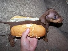 hot dog :D