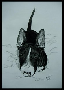 Profesjonalne rysunki na zlecenie, polecam się. chmielewskaj @o2.pl

Przystojniak :)
Rysunek ołówkiem, format A4.