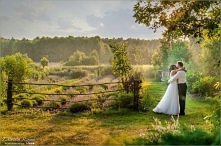 Lawendowy plener ślubny
fot...