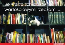 zawsze